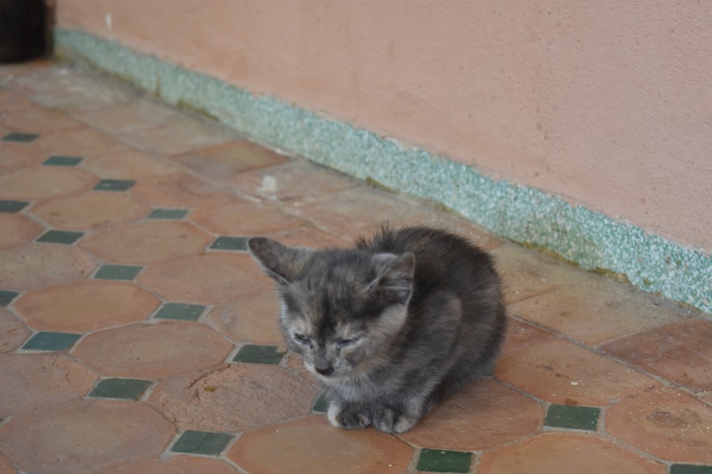 Post 10 – Part Two of&nbsp;Morocco