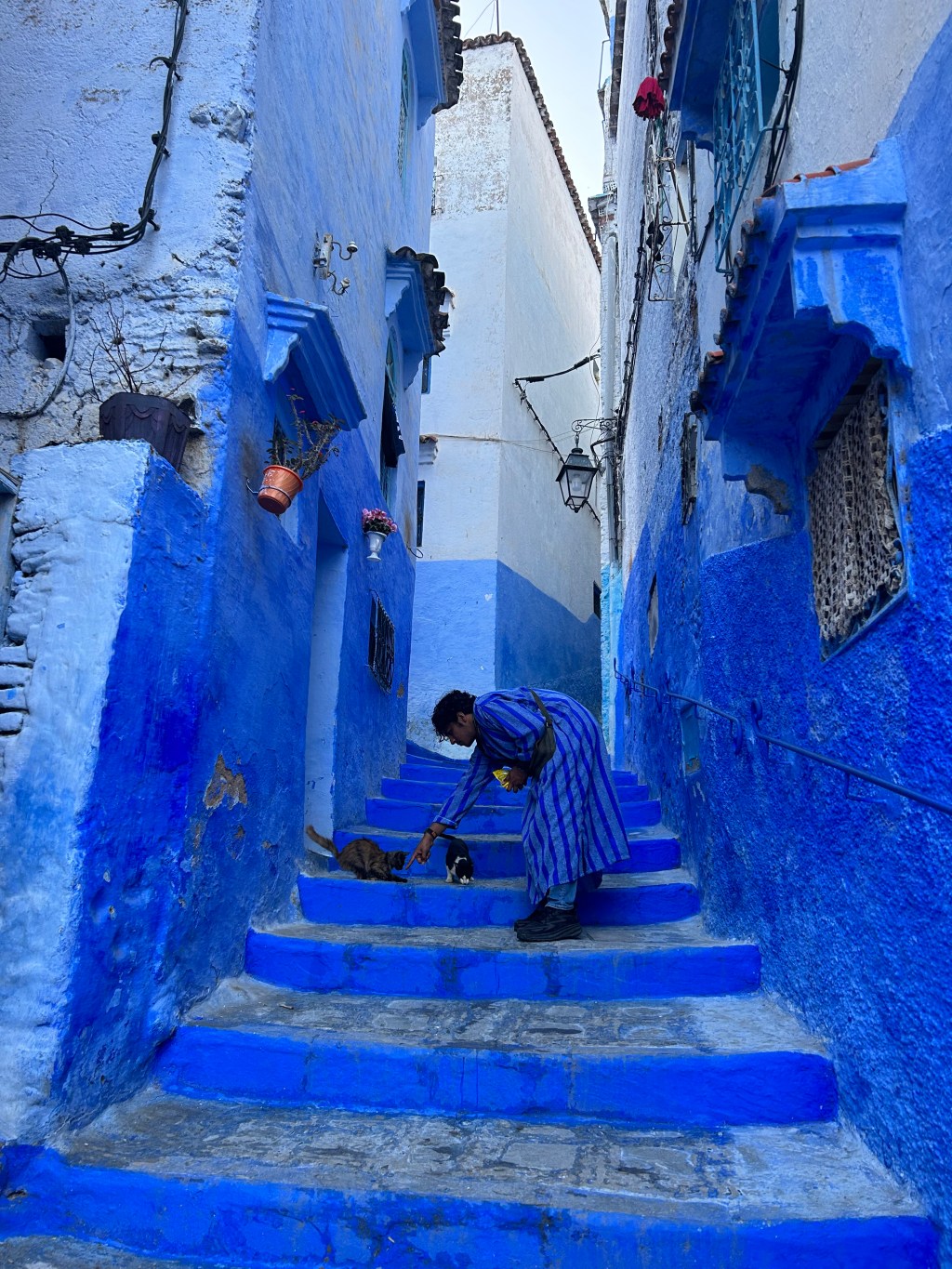 Post 14: Part 6 Morocco – The Blue&nbsp;City